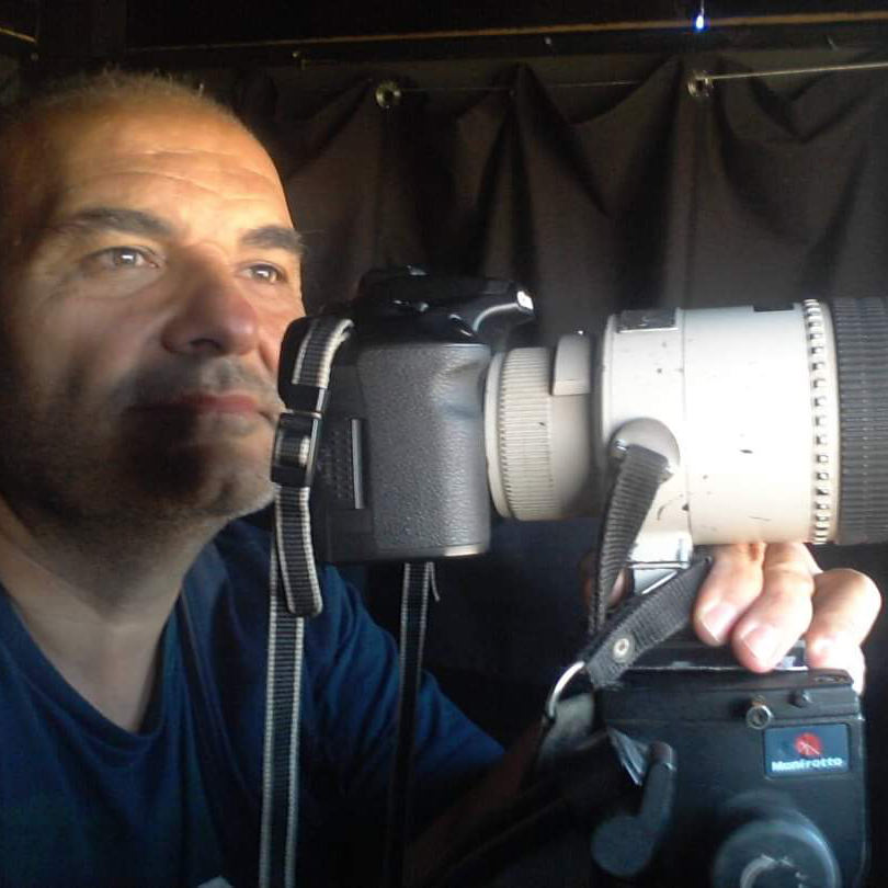 En lo salvaje: las cámaras web de las cigüeñas de Madrigal de las Altas Torres