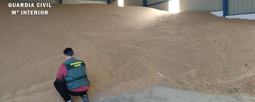 Un detenido por sustraer más de 800 toneladas de cereal en La Moraña