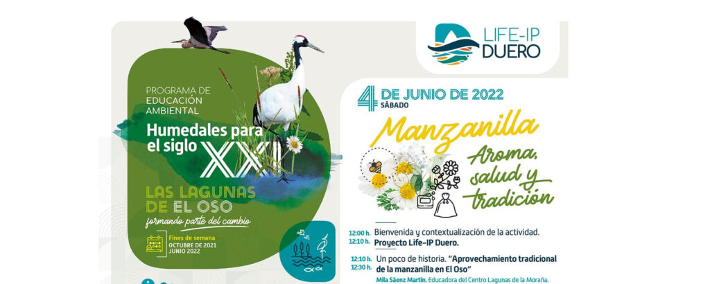 La manzanilla protagoniza una jornada ambiental este sábado en El Oso